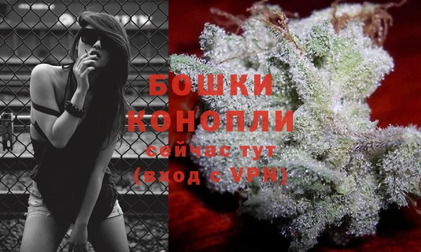 гидра Медногорск
