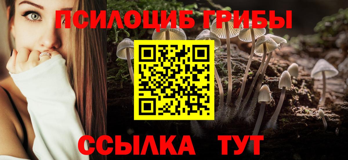 Галлюциногенные грибы Cubensis Краснокаменск