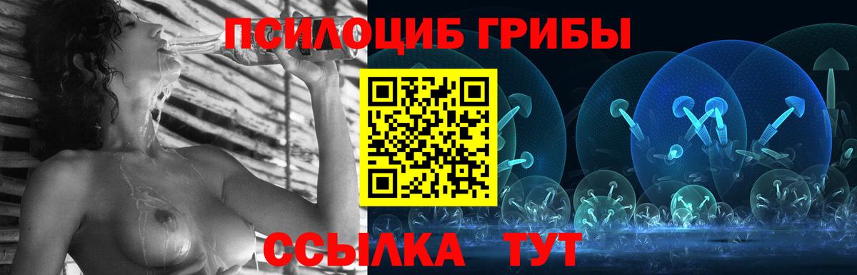 Псилоцибиновые грибы Cubensis  Псилоцибиновые грибы MAGIC MUSHROOMS  Вход с VPN  Краснокаменск 