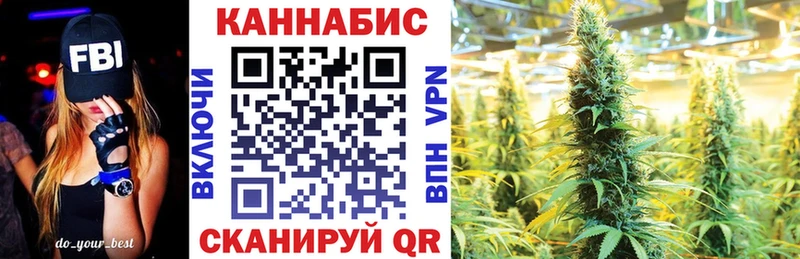 Каннабис сатива как найти наркотики Краснокаменск